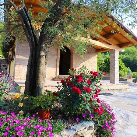 Agriturismo La Tana ชิตตา ดิ กัสเตลโล ภายนอก รูปภาพ