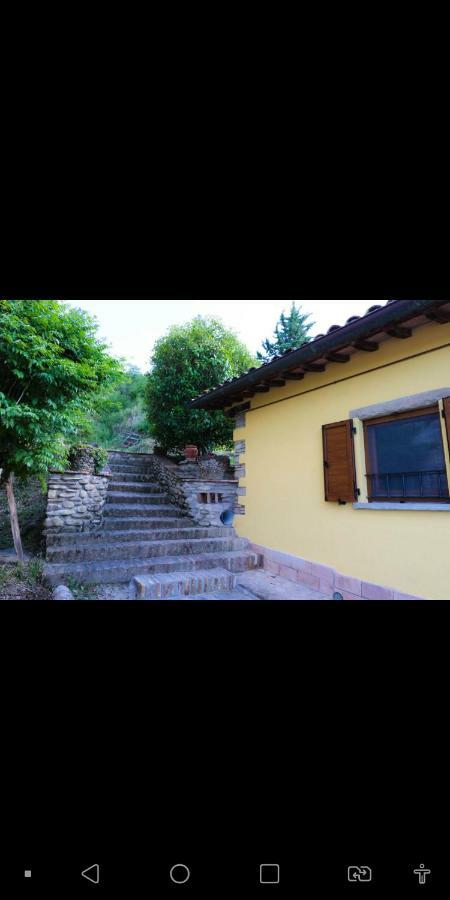 Agriturismo La Tana ชิตตา ดิ กัสเตลโล ภายนอก รูปภาพ
